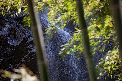 这一次 Intel、AMD、NVIDIA集体哑火了