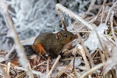 销量还不错 《星空》入围Steam今年12大最赚钱游戏